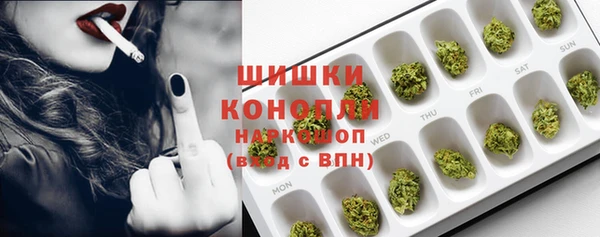 прущие грибы Баксан