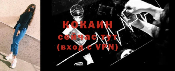 прущие грибы Баксан