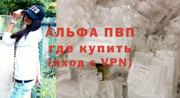 прущие грибы Баксан