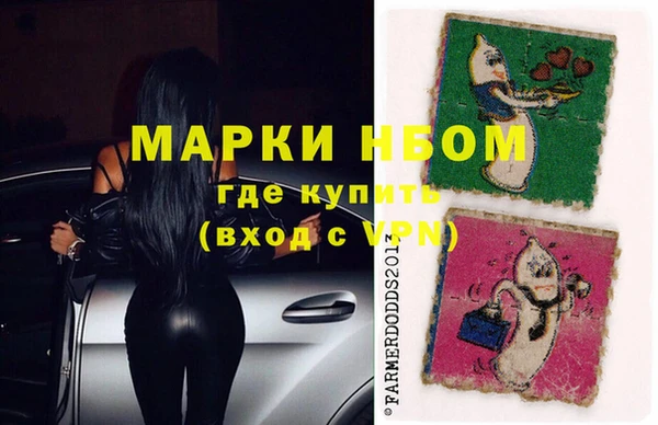 прущие грибы Баксан