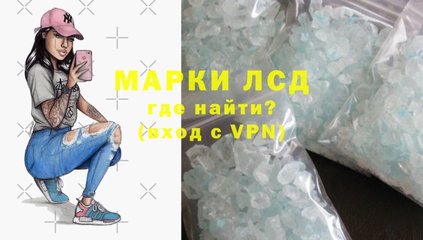 прущие грибы Баксан