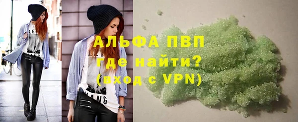 прущие грибы Баксан