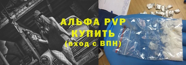 прущие грибы Баксан